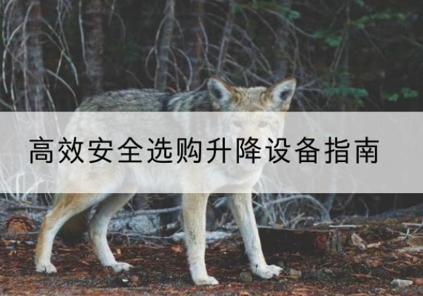 魏县升降货梯厂家推荐-*安全选购升降设备指南