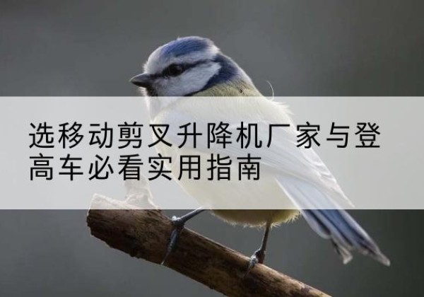 魏县电动升降机厂家-选移动剪叉升降机厂家与登高车必看实用指南